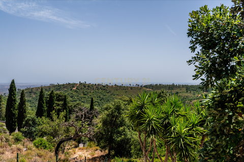 Villa in Monchique, Faro, Monchique - € 747.000 | Ref: C0531-00046 - foto 4