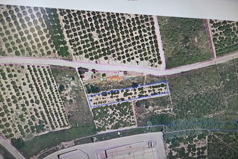 Tomt i Rafelcofer, Valencia, Rafelcofer - € 8 500 | Ref: PNPT288 - foto 11