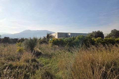 Tomt i Rafelcofer, Valencia, Rafelcofer - € 8 500 | Ref: PNPT288 - foto 4