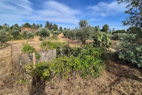 Helårsgrund i Escalos de Cima e Lousa, Castelo Branco, Escalos de Cima e Lousa - € 60.000 | Ref: C0434-01315 - foto 1