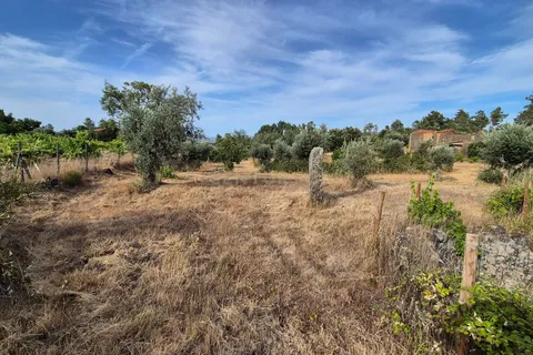 Helårsgrund i Escalos de Cima e Lousa, Castelo Branco, Escalos de Cima e Lousa - € 60.000 | Ref: C0434-01315 - foto 2