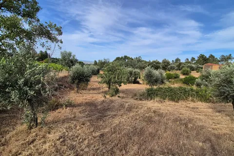 Helårsgrund i Escalos de Cima e Lousa, Castelo Branco, Escalos de Cima e Lousa - € 60.000 | Ref: C0434-01315 - foto 4
