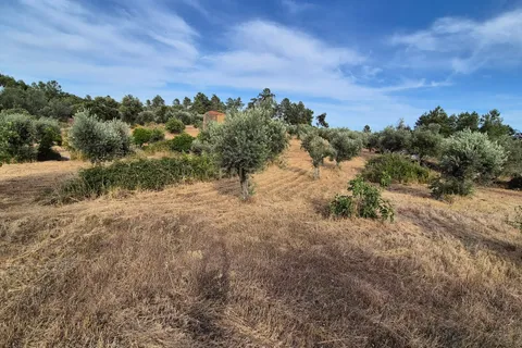 Helårsgrund i Escalos de Cima e Lousa, Castelo Branco, Escalos de Cima e Lousa - € 60.000 | Ref: C0434-01315 - foto 5