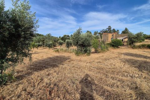 Helårsgrund i Escalos de Cima e Lousa, Castelo Branco, Escalos de Cima e Lousa - € 60.000 | Ref: C0434-01315 - foto 9