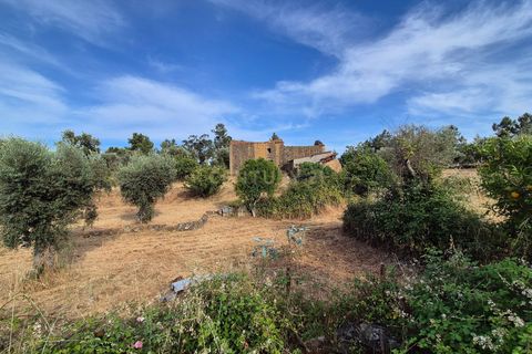 Helårsgrund i Escalos de Cima e Lousa, Castelo Branco, Escalos de Cima e Lousa - € 60.000 | Ref: C0434-01315 - foto 12