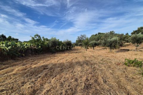 Helårsgrund i Escalos de Cima e Lousa, Castelo Branco, Escalos de Cima e Lousa - € 60.000 | Ref: C0434-01315 - foto 13