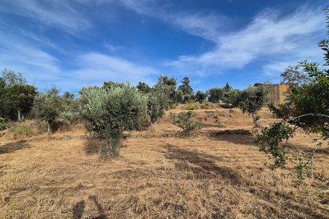 Helårsgrund i Escalos de Cima e Lousa, Castelo Branco, Escalos de Cima e Lousa - € 60.000 | Ref: C0434-01315 - foto 16