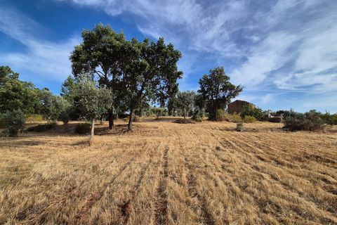 Helårsgrund i Escalos de Cima e Lousa, Castelo Branco, Escalos de Cima e Lousa - € 60.000 | Ref: C0434-01315 - foto 22