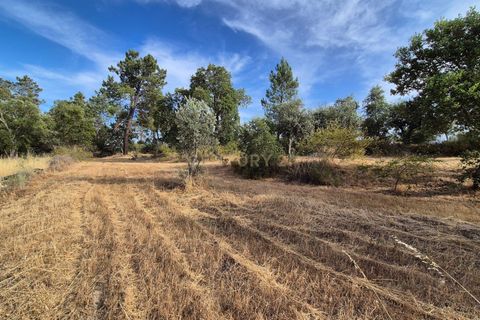 Helårsgrund i Escalos de Cima e Lousa, Castelo Branco, Escalos de Cima e Lousa - € 60.000 | Ref: C0434-01315 - foto 26