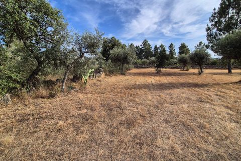 Helårsgrund i Escalos de Cima e Lousa, Castelo Branco, Escalos de Cima e Lousa - € 60.000 | Ref: C0434-01315 - foto 34