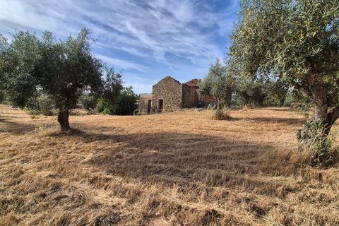 Helårsgrund i Escalos de Cima e Lousa, Castelo Branco, Escalos de Cima e Lousa - € 60.000 | Ref: C0434-01315 - foto 43