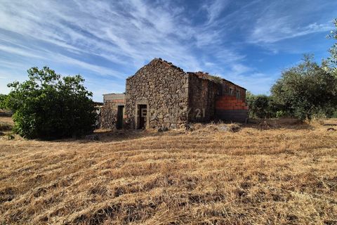 Helårsgrund i Escalos de Cima e Lousa, Castelo Branco, Escalos de Cima e Lousa - € 60.000 | Ref: C0434-01315 - foto 44