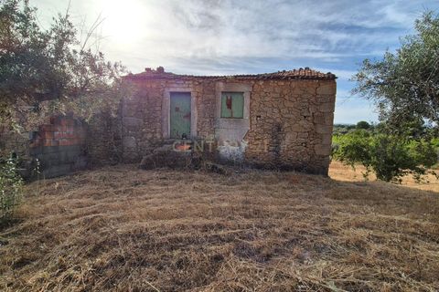 Helårsgrund i Escalos de Cima e Lousa, Castelo Branco, Escalos de Cima e Lousa - € 60.000 | Ref: C0434-01315 - foto 46