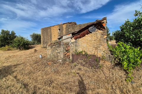 Helårsgrund i Escalos de Cima e Lousa, Castelo Branco, Escalos de Cima e Lousa - € 60.000 | Ref: C0434-01315 - foto 50