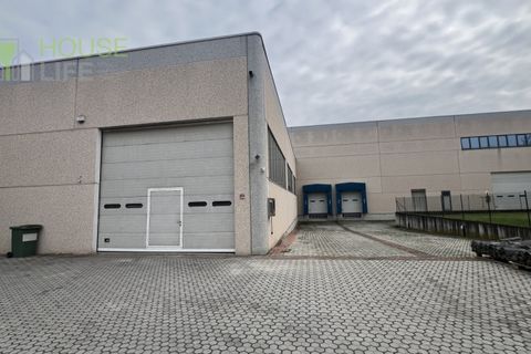 Erhvervsejendom i Minerbe, Verona, Minerbe - € 1.650.000 | Ref: HL1433p - foto 8