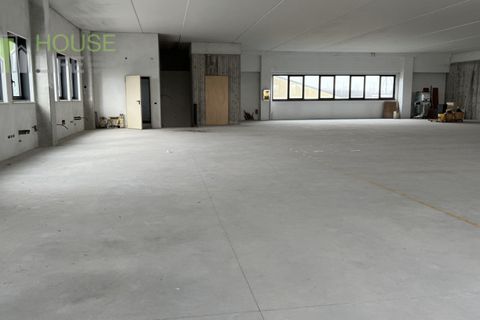 Erhvervsejendom i Minerbe, Verona, Minerbe - € 1.650.000 | Ref: HL1433p - foto 19