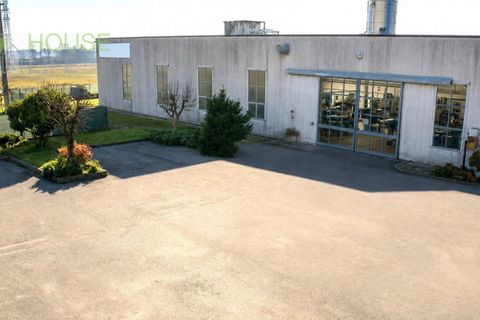 Erhvervsejendom i Thiene, Vicenza, Thiene - € 198.000 | Ref: HL1224b - foto 2