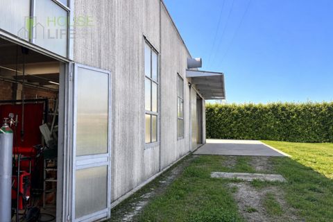 Erhvervsejendom i Thiene, Vicenza, Thiene - € 198.000 | Ref: HL1224b - foto 5
