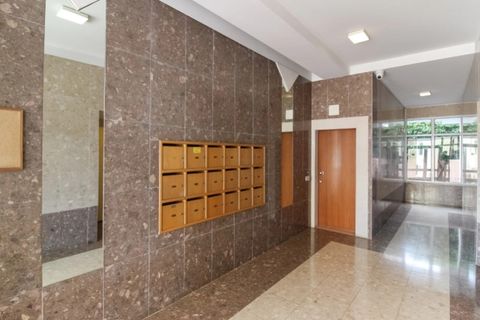 Apartament a Se, Madeira, Se - € 1.600/mes | Ref: C0216-03379 - foto 24