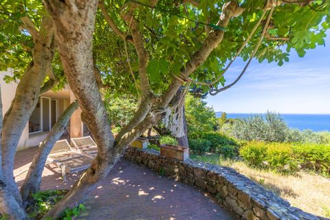 Villa i Monte Argentario, Grosseto, Monte Argentario - € 830.000 | Ref: 189 - foto 5