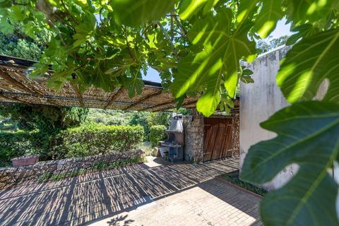 Villa i Monte Argentario, Grosseto, Monte Argentario - € 830.000 | Ref: 189 - foto 6