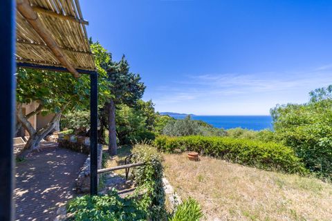 Villa i Monte Argentario, Grosseto, Monte Argentario - € 830.000 | Ref: 189 - foto 7
