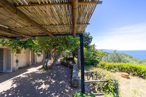 Villa i Monte Argentario, Grosseto, Monte Argentario - € 830.000 | Ref: 189 - foto 8