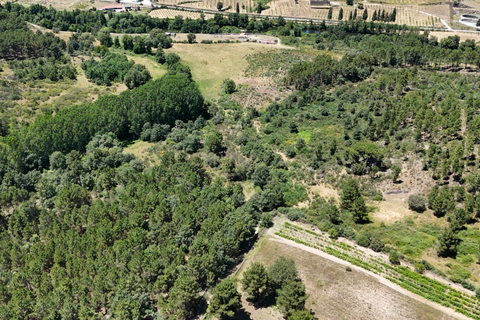 Helårsgrund i Chaves, Vila Real, Chaves - € 150.000 | Ref: C0533-00113 - foto 6