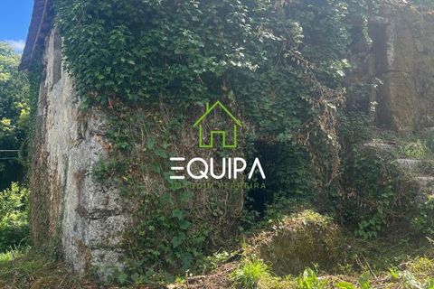 Villa i Fafe, Braga, Fafe - € 80.000 | Ref: TRAVASSOS - foto 7