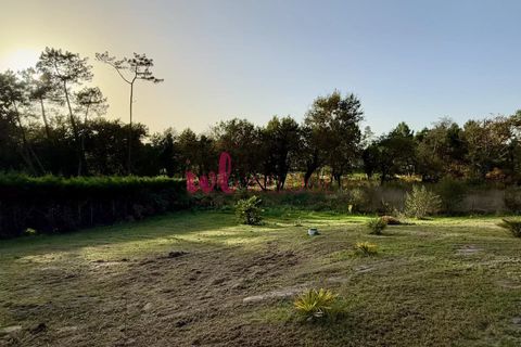 Villa i Boos, Landes, Boos - € 280.000 | Ref: 85394238 - foto 12