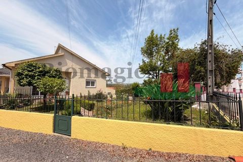 Villa a Asseiceira, Santarem, Asseiceira - € 435.000 | Ref: 181.26 - foto 4