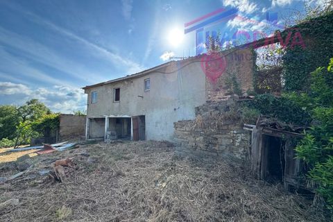 Masia a Serta, Castelo Branco, Serta - € 55.000 | Ref: VV472/0626 - foto 4