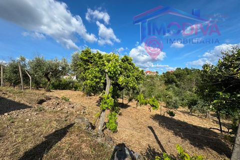 Masia a Serta, Castelo Branco, Serta - € 55.000 | Ref: VV472/0626 - foto 23