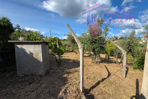 Masia a Serta, Castelo Branco, Serta - € 55.000 | Ref: VV472/0626 - foto 25