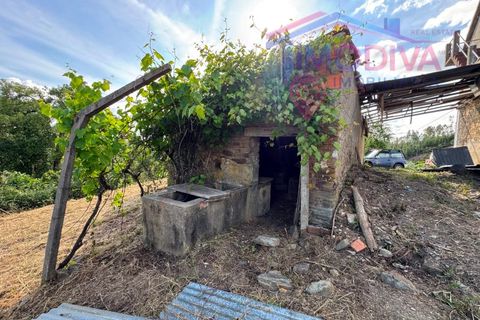 Masia a Serta, Castelo Branco, Serta - € 55.000 | Ref: VV472/0626 - foto 27