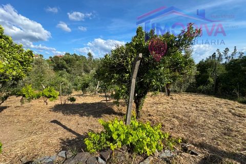 Masia a Serta, Castelo Branco, Serta - € 55.000 | Ref: VV472/0626 - foto 29