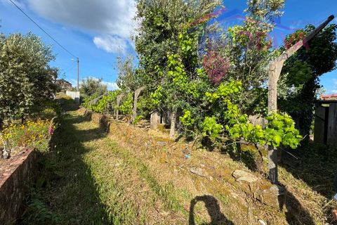 Masia a Serta, Castelo Branco, Serta - € 55.000 | Ref: VV472/0626 - foto 30