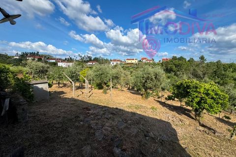 Masia a Serta, Castelo Branco, Serta - € 55.000 | Ref: VV472/0626 - foto 31