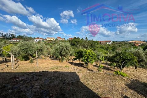 Masia a Serta, Castelo Branco, Serta - € 55.000 | Ref: VV472/0626 - foto 33