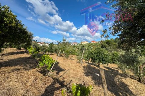 Masia a Serta, Castelo Branco, Serta - € 55.000 | Ref: VV472/0626 - foto 35