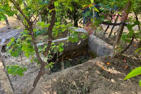 Masia a Serta, Castelo Branco, Serta - € 55.000 | Ref: VV472/0626 - foto 37