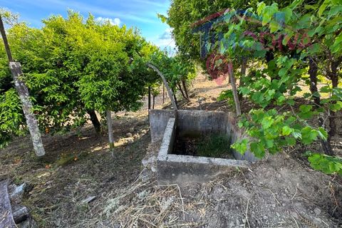 Masia a Serta, Castelo Branco, Serta - € 55.000 | Ref: VV472/0626 - foto 40