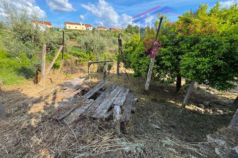 Masia a Serta, Castelo Branco, Serta - € 55.000 | Ref: VV472/0626 - foto 41