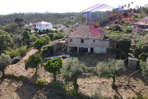 Masia a Serta, Castelo Branco, Serta - € 55.000 | Ref: VV472/0626 - foto 44