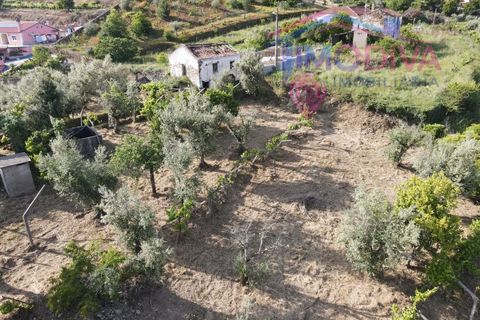 Masia a Serta, Castelo Branco, Serta - € 55.000 | Ref: VV472/0626 - foto 46