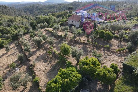 Masia a Serta, Castelo Branco, Serta - € 55.000 | Ref: VV472/0626 - foto 47