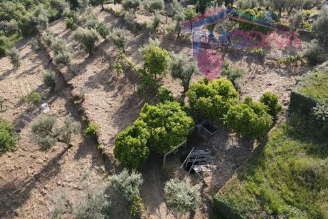 Masia a Serta, Castelo Branco, Serta - € 55.000 | Ref: VV472/0626 - foto 48