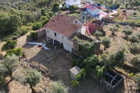 Masia a Serta, Castelo Branco, Serta - € 55.000 | Ref: VV472/0626 - foto 49