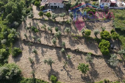 Masia a Serta, Castelo Branco, Serta - € 55.000 | Ref: VV472/0626 - foto 50