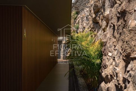 Apartament a Calheta, Madeira, Calheta - € 4.000/mes | Ref: APA_224 - foto 7